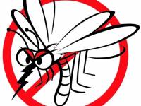 Tájékoztató a szúnyogok elleni védekezésről
